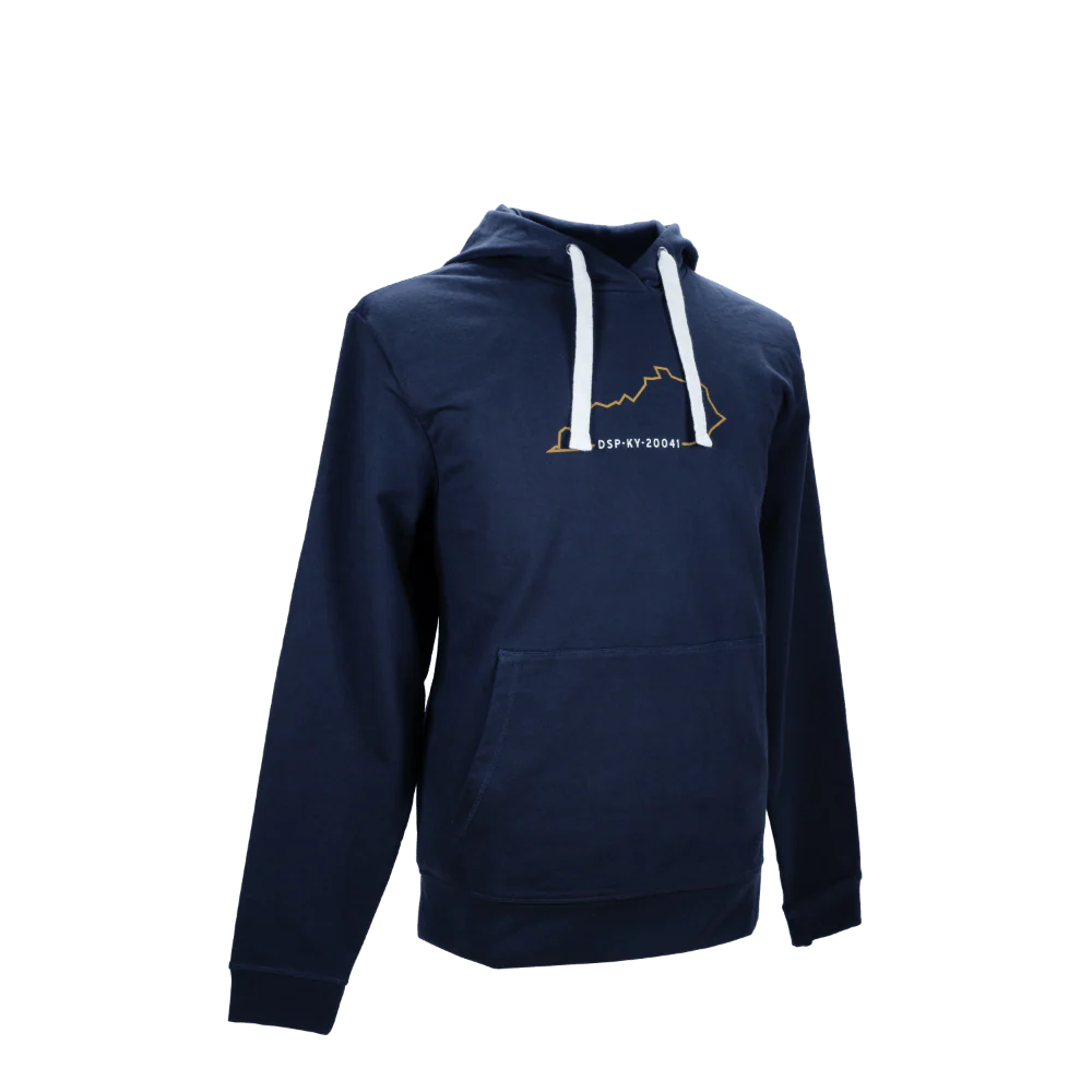 DSP Hoodie Navy - Image 2