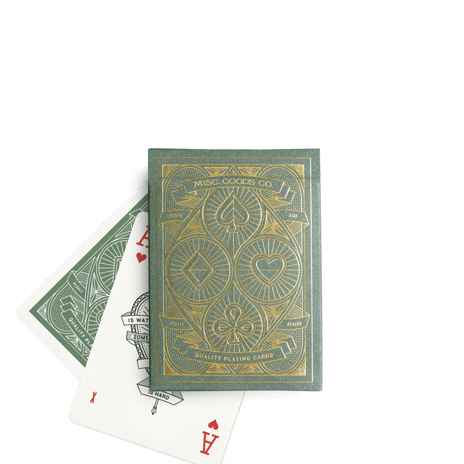 Playing Cards in Cacti - Image 3