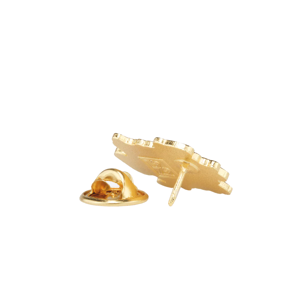 TNGB Enamel Pin - Image 3